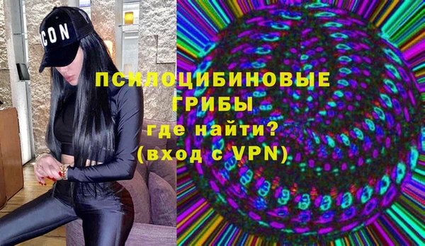 прущие крисы Балахна