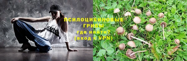 прущие крисы Балахна