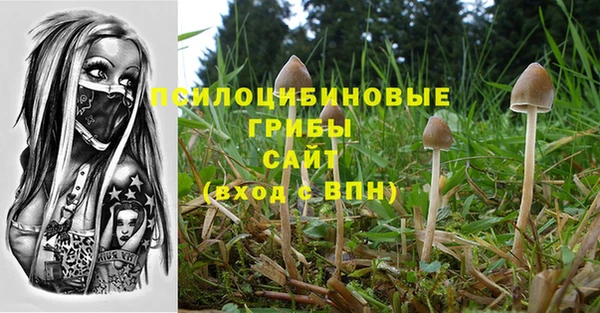 прущие крисы Балахна
