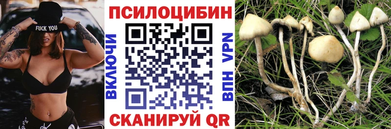 Галлюциногенные грибы Psilocybe  Пересвет 